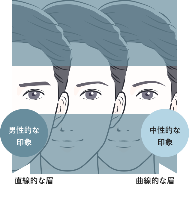 眉の形状は、印象を決める大切な要素